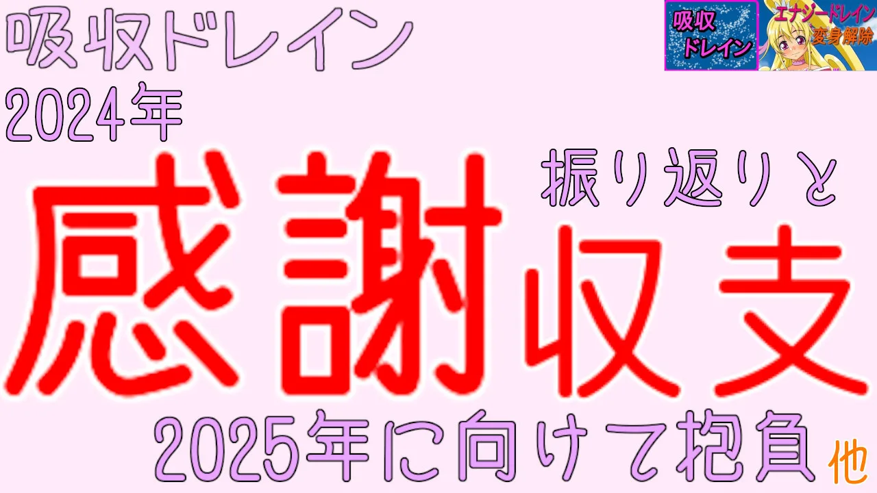 【吸収ドレイン】【進捗報告】2024年12月5回目 2024年感謝と振り返りと収支、2025年に向けて抱負など - FC2 Video